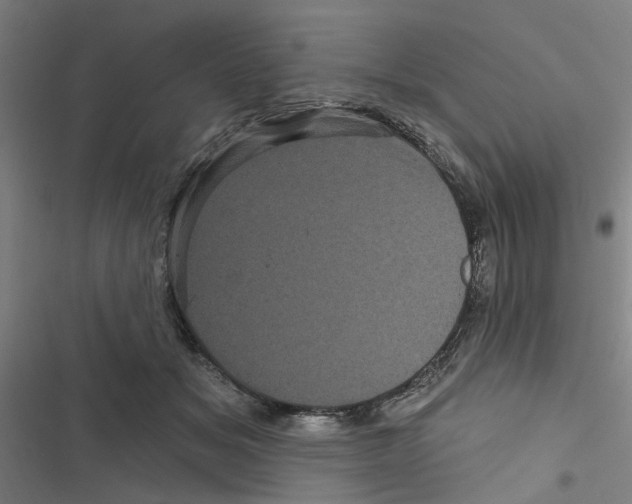 X0000116870509201001191725