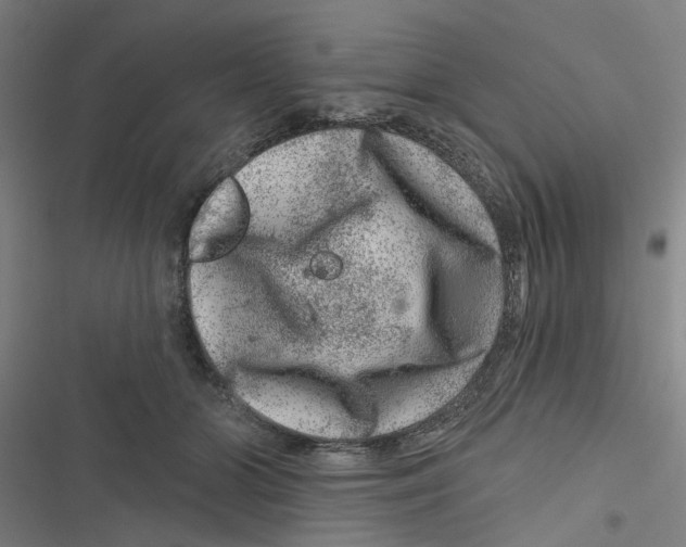 X0000116870510201001191725