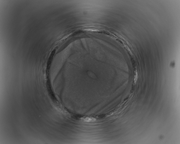 X0000116870512201001191725