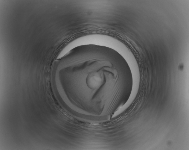 X0000116870513201001191725