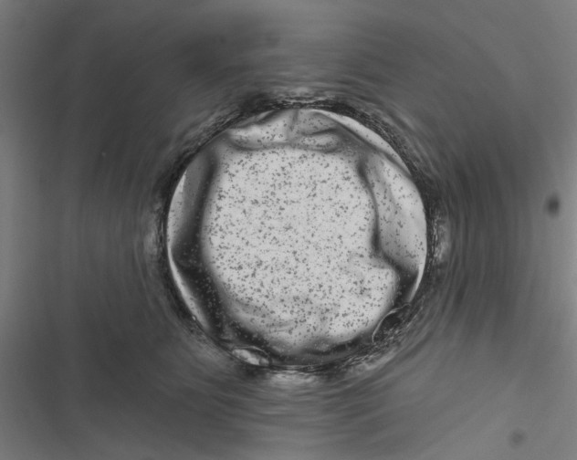 X0000116870515201001191725