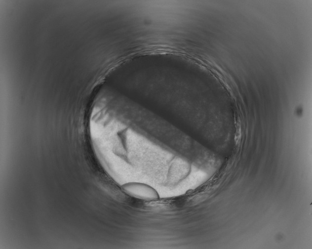X0000116870516201001191725