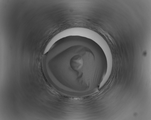 X0000116870517201001191725