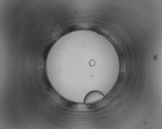 X0000116870518201001191725