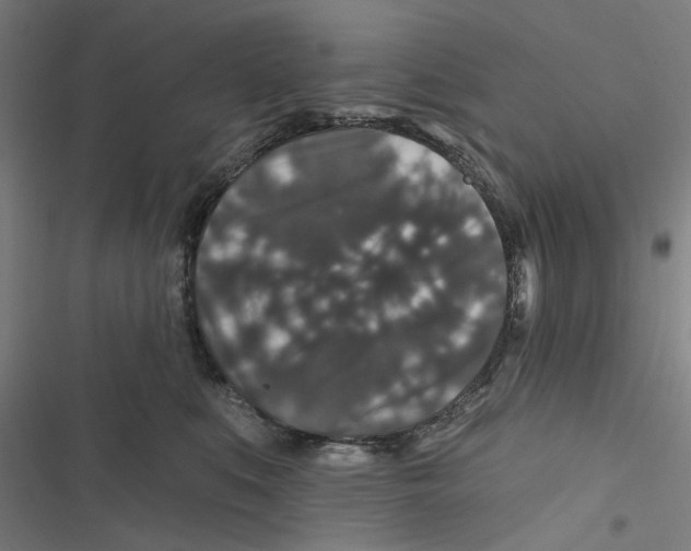 X0000116870519201001191725