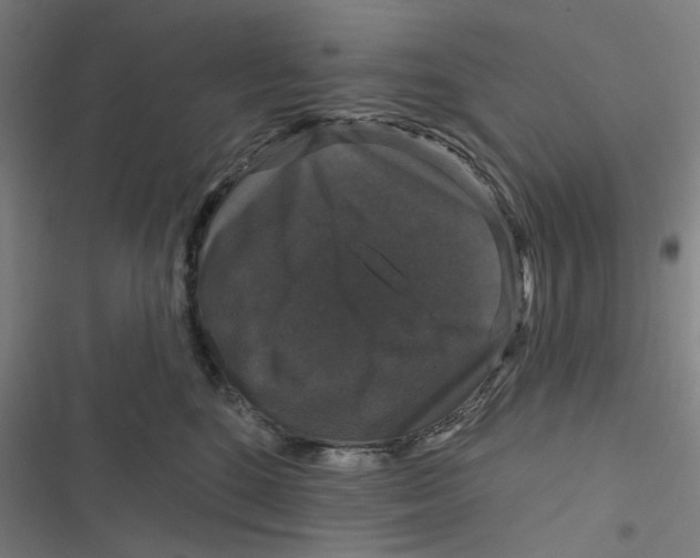 X0000116870520201001191725