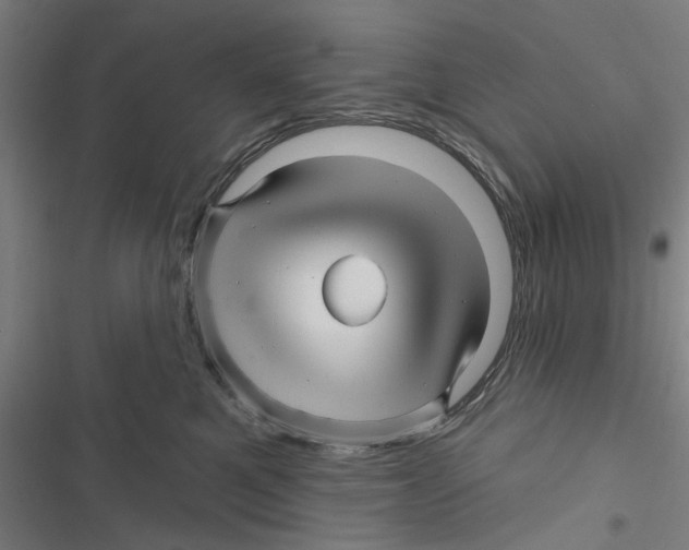X0000116870521201001191725