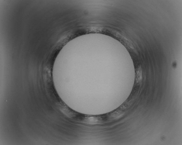 X0000116870522201001191725