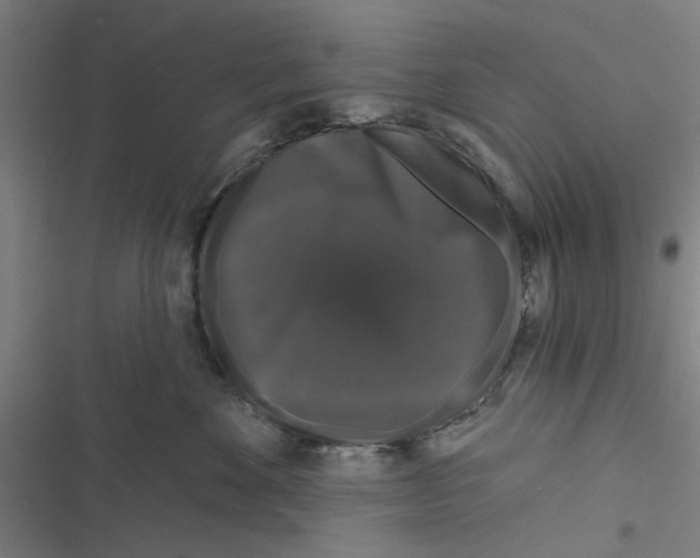 X0000116870524201001191725