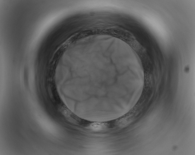X0000116870526201001191725
