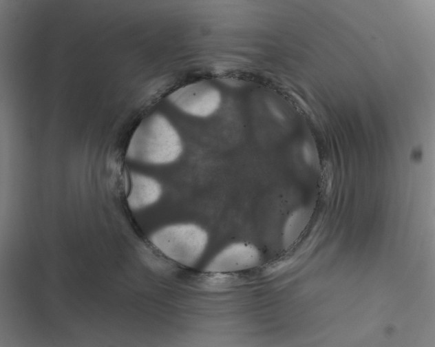 X0000116870527201001191725
