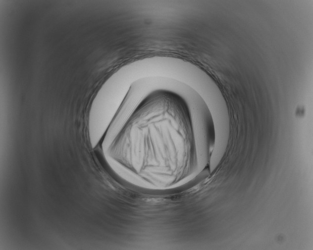 X0000116870528201001191725