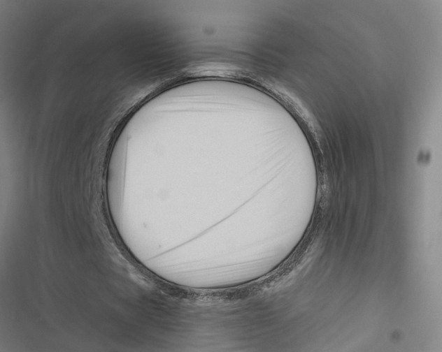 X0000116870529201001191724
