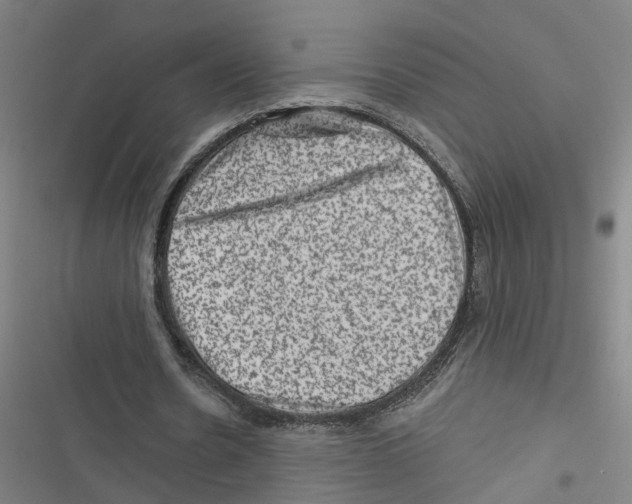 X0000116870530201001191724