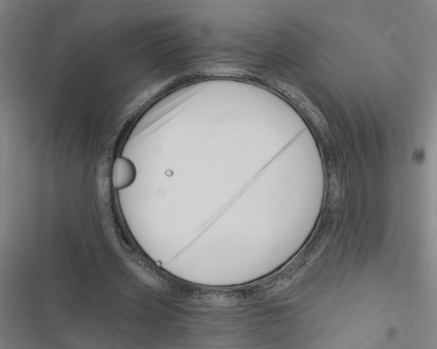 X0000116870533201001191724