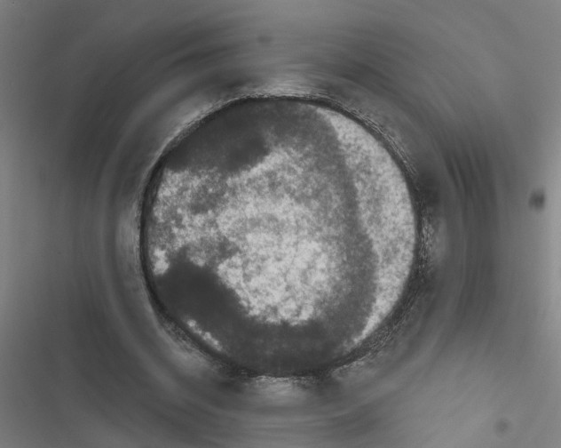X0000116870534201001191724