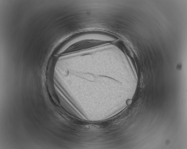 X0000116870535201001191724