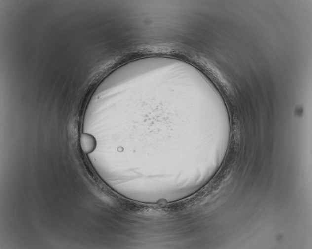 X0000116870537201001191724
