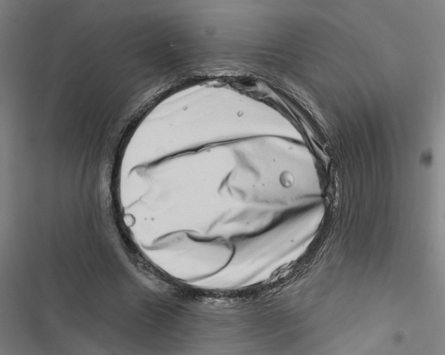 X0000116870538201001191725