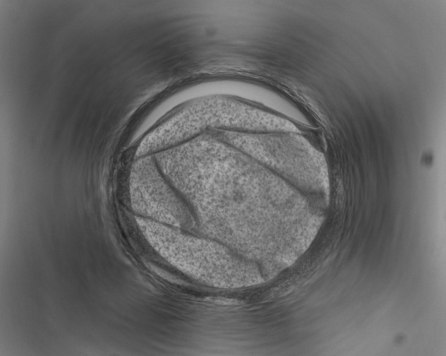 X0000116870539201001191725