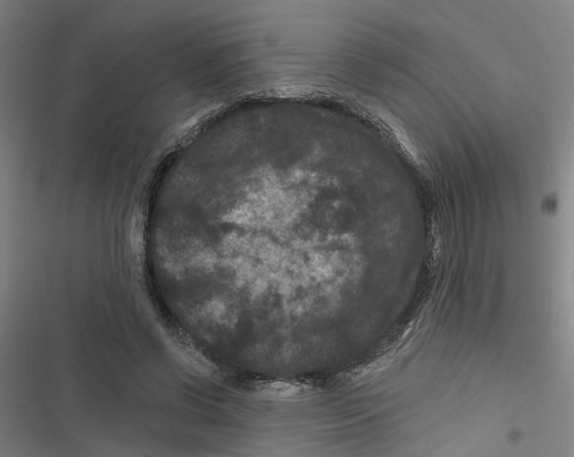 X0000116870542201001191725