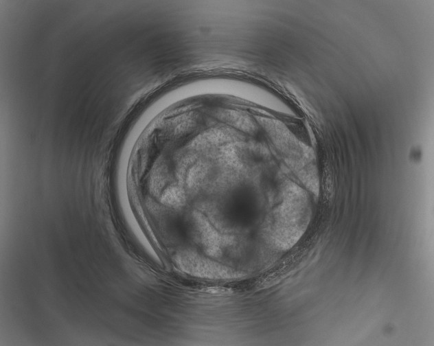 X0000116870543201001191725
