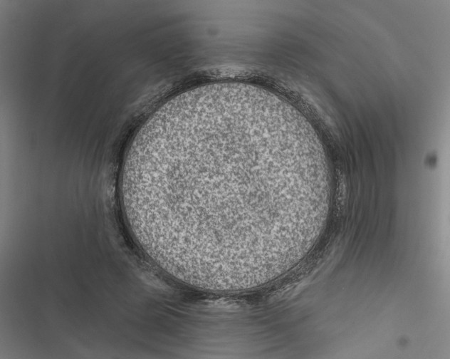 X0000116870545201001191725