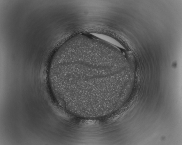 X0000116870546201001191725