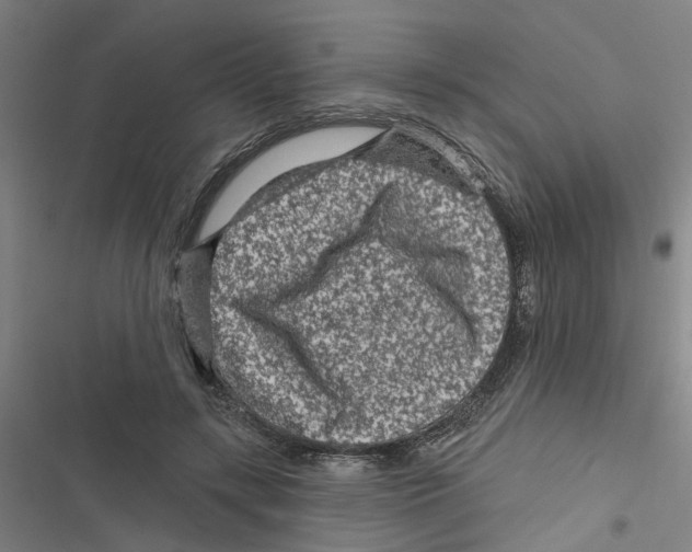 X0000116870547201001191725