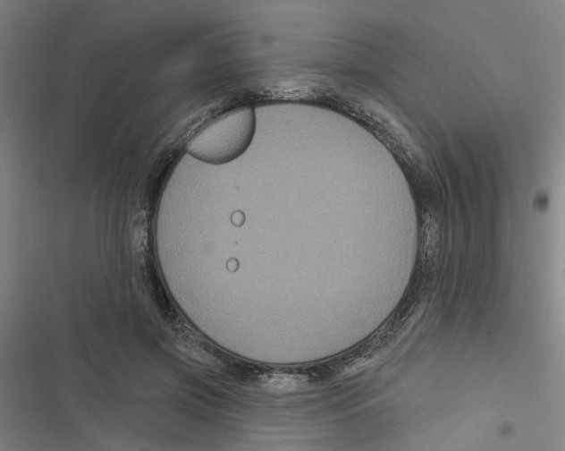 X0000116870549201001191725