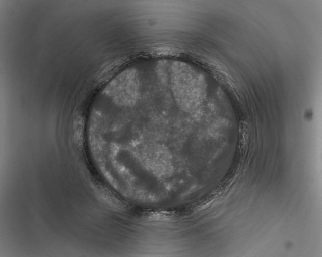 X0000116870550201001191725