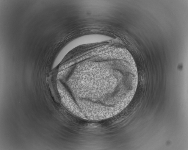 X0000116870551201001191725