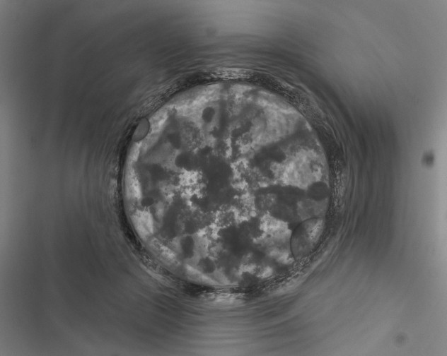X0000116870553201001191725