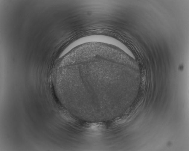 X0000116870555201001191725