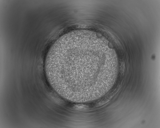 X0000116870557201001191725