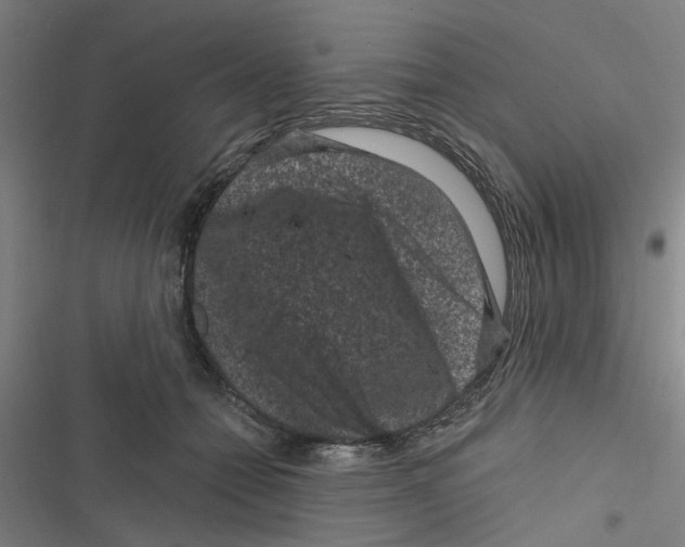 X0000116870558201001191725