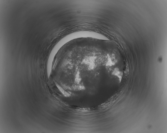 X0000116870559201001191725