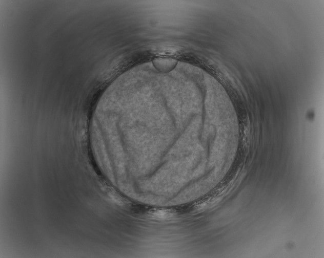 X0000116870561201001191725