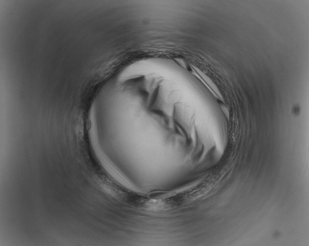 X0000116870562201001191725