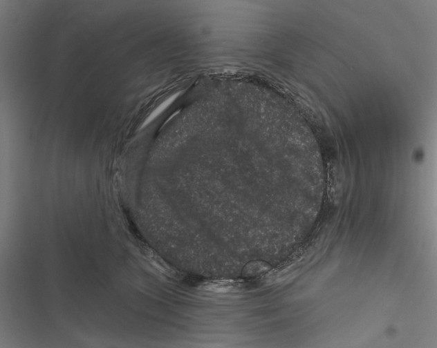 X0000116870563201001191725