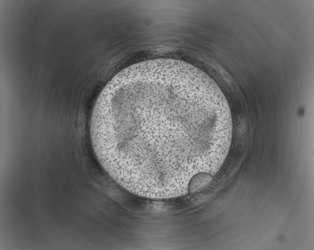 X0000116870565201001191725