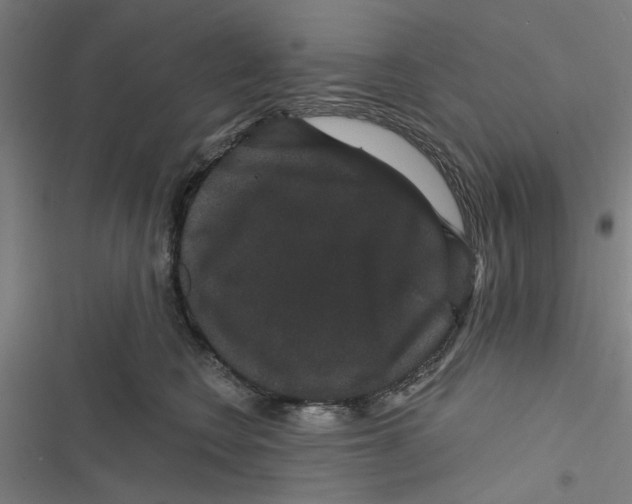 X0000116870566201001191725