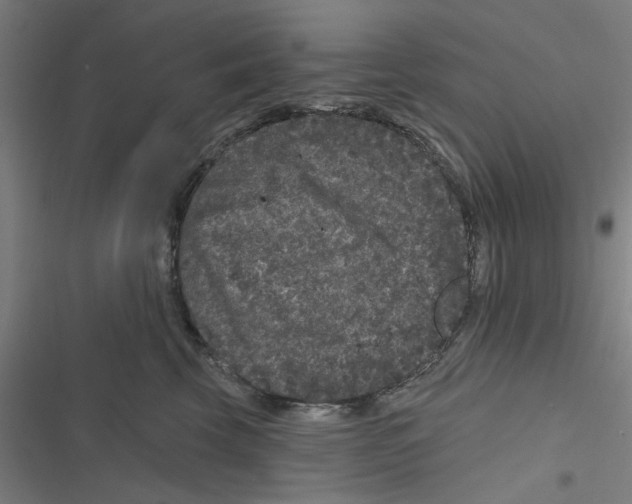 X0000116870569201001191725