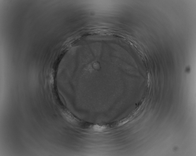 X0000116870570201001191725
