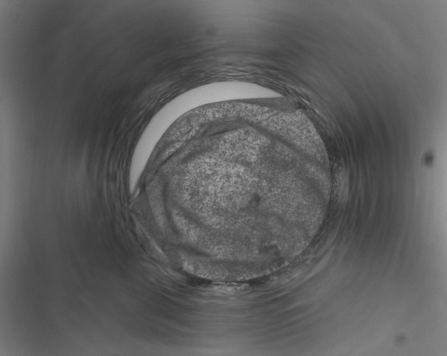 X0000116870571201001191725