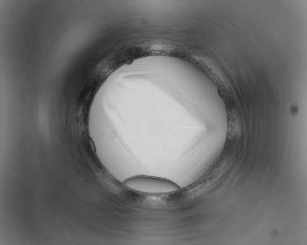 X0000116870573201001191725