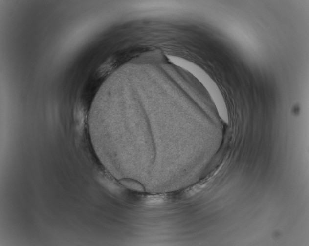 X0000116870574201001191725