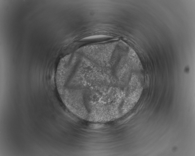X0000116870575201001191725