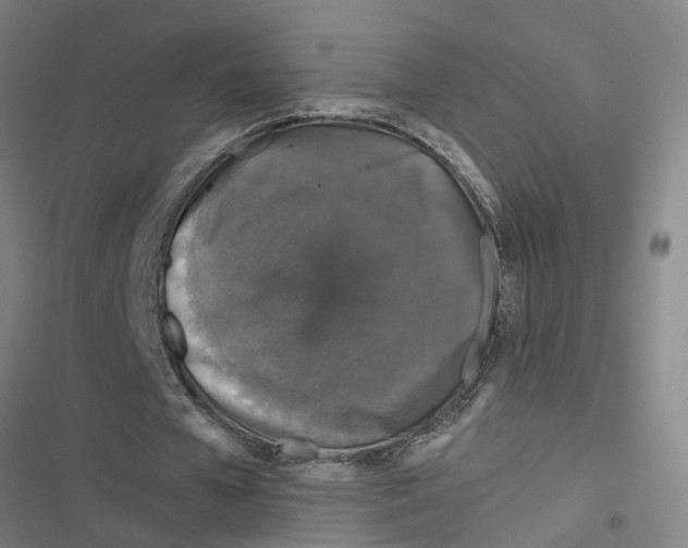 X0000116870577201001191724