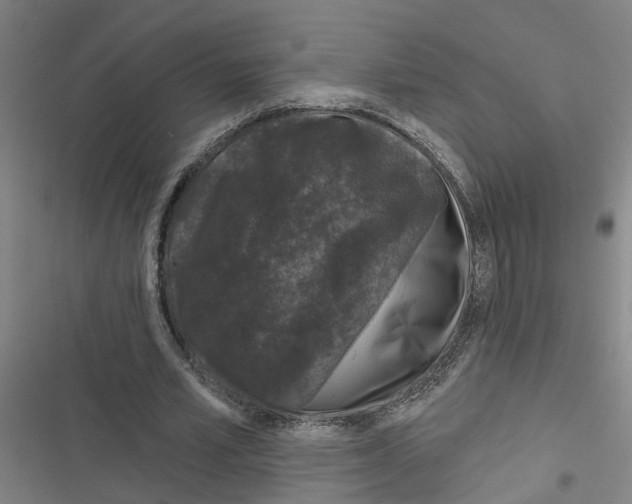 X0000116870581201001191724